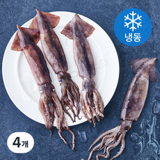 고소한 내장 한입 통찜용 오징어 4~7개입 (냉동), 500g, 4개