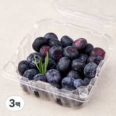 곰곰 친환경 블루베리, 100g, 3팩