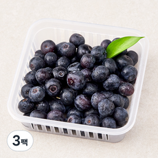 곰곰 친환경 제주 블루베리, 200g, 3팩
