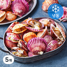 김씨밥 홍가리비 (냉동), 1.2kg, 5개