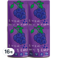 요거트에 빠진 과자, 16개, 블루베리 + 요거트 혼합맛, 20g