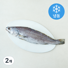 the 푸짐한 국내산 프리미엄 손질 통민어 (냉동), 2개, 500g