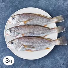 서귀포수협 제주 생물 손질 백조기 (냉장), 3개, 700g(대, 3마리)