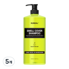 쿤달 올데이 스멜커버 청소년 샴푸 라임바질앤만다린향, 1L, 5개