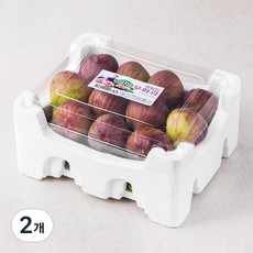과일진 영암 무화과, 2개, 1.5kg