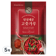 채운 정성채운 국산 고춧가루 보통매운맛, 250g, 5개