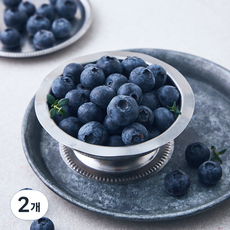 수플린 칠레산 블루베리, 2개, 125g