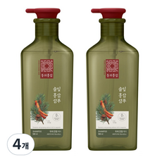 동의홍삼 두피 진정 케어 홍삼샴푸 솔잎향, 4개, 500ml