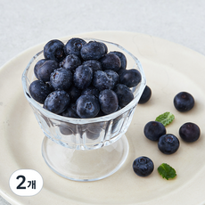 GAP 인증 상큼애 블루베리, 100g, 2개