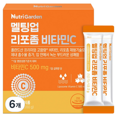뉴트리가든 멜팅업 리포좀 비타민C 30p, 60g, 6개