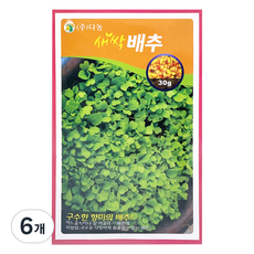 다농 새싹 배추 씨앗 30g, 6개