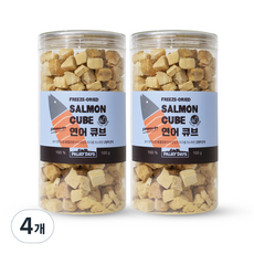 고양이 전연령 파미데이즈 프리미엄 동결건조 간식 큐브, 4개, 연어, 100g