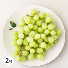 곰곰 칠레산 씨없는 청포도, 450g, 2팩