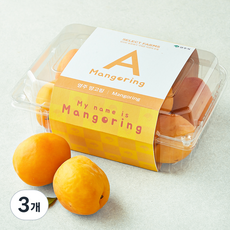 셀렉트팜 영주 망고링 5~9입, 3개, 800g