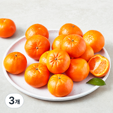 헤일로스 미국산 만다린, 1.2kg, 3개