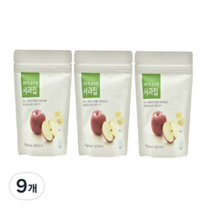 올가홀푸드 100% 순수한 사과칩, 9개, 12g