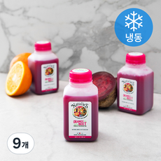 나탈리스 오렌지 비트 착즙 주스 (냉동), 250ml, 9개