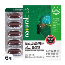 내츄럴플러스 포스파티딜세린 징코 브레인 60g, 60정, 6개