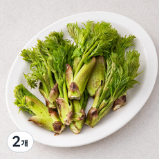 국내산 참두릅, 150g, 2개 150g, 2개