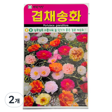 아람종묘 겹채송화 씨앗, 2개