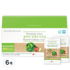 올즙 국내산 올바른 양배추 사과즙, 2.7L, 6개