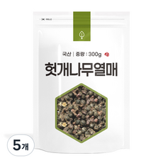 자연초 헛개나무열매, 300g, 5개