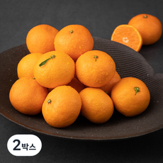 귤탐 당도선별 11brix 감귤, 2.5kg, 2개