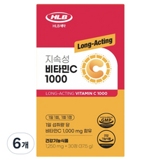 에이치엘비 지속성 비타민C 1000 37.5g, 6개, 30정