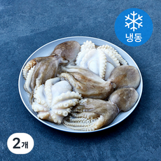 The더착한 활쭈꾸미 (냉동), 2개, 1kg(150/200)