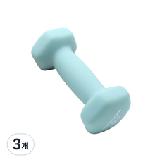 핏분 네오프렌 아령 멜론민트, 1kg, 3개
