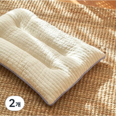 elim korea 可水洗低款涼感雙面枕, 紫色, 2個