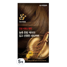 려 진생 한방폼 염색제, 6.0 자연갈색, 5개