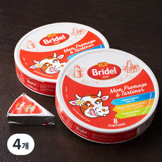 브리델 포션치즈, 120g, 1개입, 4개