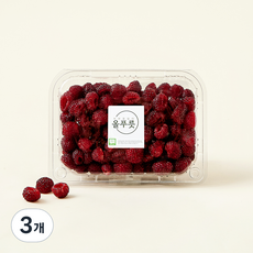 올푸릇 무농약 인증 산딸기, 250g, 3개