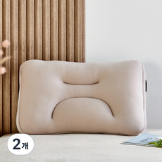 모던하우스 경추를 잡아주는 메모리폼 칩 베개, 그레이, 2개