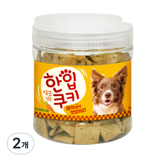 데이스포 강아지 당근 넣은 한입쿠키, 2개, 눈 건강