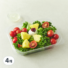 All바른농장 파인 & 스테비아토마토 리코타 샐러드, 300g, 4개