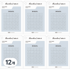 플레픽 썸네일 인덱스잇 점착메모지, 12 30일, 12개