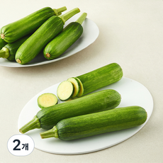 애호박, 250g, 2개, 10개입