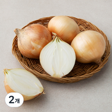 국내산 양파, 1.2kg (대), 2개