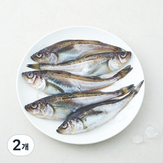 노량진 수산시장 중도매인 90번 도루묵 알배기 생물 5미 (냉장), 2개, 450g