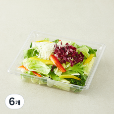 곰곰 한끼 파프리카 믹스 샐러드채소, 80g, 6개, 1개입