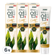 2080 海竹筍鹽牙膏 Gold Plus, 120g, 6個