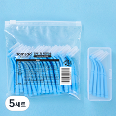 탐사 L형 치간칫솔 (휴대용 케이스 증정) s, 1mm, 50개입, 5세트