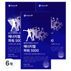 휴온스 에너지젤 파워 5000, 400g, 6개