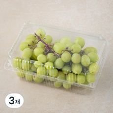 곰곰 칠레산 씨없는 청포도, 900g, 3개