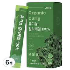 브이나인 유기농 컬리케일 분말, 6개, 28g