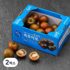 농협 강원 맑은청 흑토마토, 2kg, 2박스