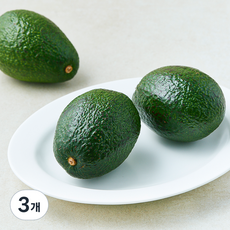 맛젤 칠레산 아보카도 점보, 3개, 800g