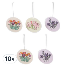 壓縮木漿菜瓜布 隨機出貨, 10個, 1入